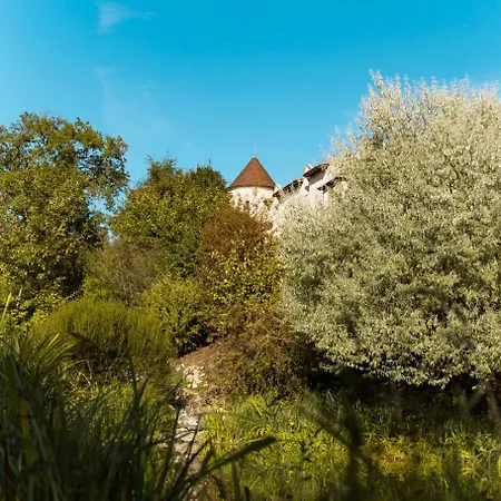 Chateau La Roberterie Entier Proche Saint Emilion Βίλα Juillac (Gironde)