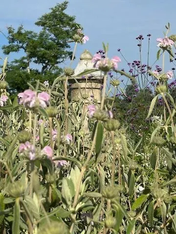 빌라 Chateau La Roberterie Entier Proche Saint Emilion